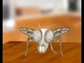 Cartoon Fruit Fly Free