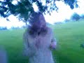 timewarp-blooper.html