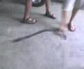 Kawasaki ZRX1200R Burnout in garage