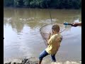 Click here to watch this video Temoleh kecundang di Sungai Lipis