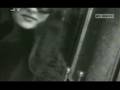 Zeljko Sasic - K`o Na Grani Jabuka