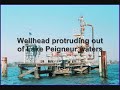 Save Lake Peigneur! Save Lake Peigneur!