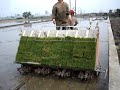 Kubota Rice Transplanter  - 1
