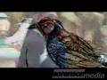 Premeditated-Murder-
