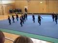 Halmstad Frigymnaster Dam Svenska Cupen 2008