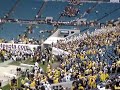 WVU Band and Team 2007 Gator Bowl