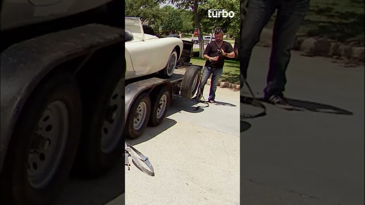 Wildfire recebe cuidados finais antes de encontrar lar