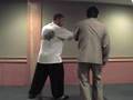 Chen Xiaowang Taijiquan seminars clip