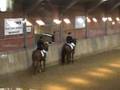 Netzer Horse