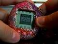 Tamagotchi V2 Secret Items