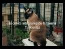 Dieturk varios Liz 4º parte