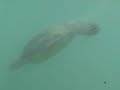 Shipwreck Bodysurfing Shipwreck Bodysurfing