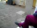 videos de Recreo ultimo dia