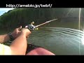 TOP WATER BASS FISHING????????????????????????&????????? TOP WATER BASS FISHING????????????????????????&?????????