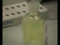 NaCl - You are the Salt of the Earth