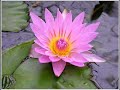 Mozart, Concerto for Piano No. 9 in E Flat Major, 2nd Mvt