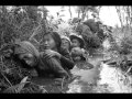 หนังสงคราม สงครามเวียดนาม - YouTube