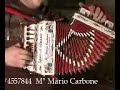 ORGANETTO DIATONICO VIDEO