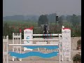 High Horse Jumping