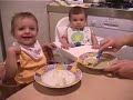 Campitelli feeding time