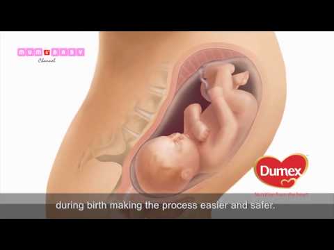 how to care in pregnancy in 3rd month in hindi