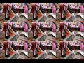 yet another pixie video yet another pixie video