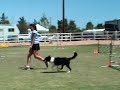 Roy NADAC Open Jumpers May 2007