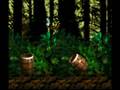 videos de Donkey Kong Country Pt.3