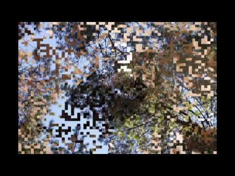 Посмотреть видео клип Посмотреть видео клип