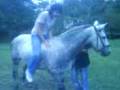 videos de Japo Salto