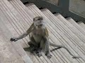 Kuala Lumpur Slideshow
