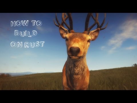 how to build walls in rust
