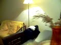 Aptmnt/Depto. 2 dorm/bdr. 2 bathrooms/baños Reñaca