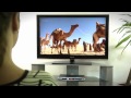 Product video on youTube
