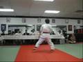 Black Belt Testing Final