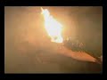 Root - Hearth of darkness Root - Hearth of darkness