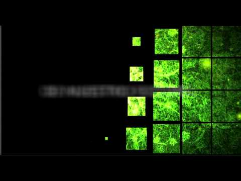 Agricultura Sustentable y Protegida Agricultura Sustentable y Protegida