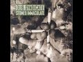 Dub Syndicate - Stoned Immaculate