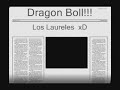 Dragon Ball Maracucho de los laureles