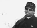 View: 2Pac feat. Eazy-E  -  Real Thugs