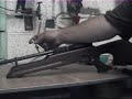 weihrauch hw100 airgun rifle powerup 