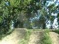 s-ckingen-dirts