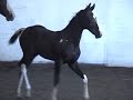 Remarkable (Rakus x Raindevous)