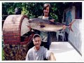 Adrasanda ilk kuzu (amberjack)