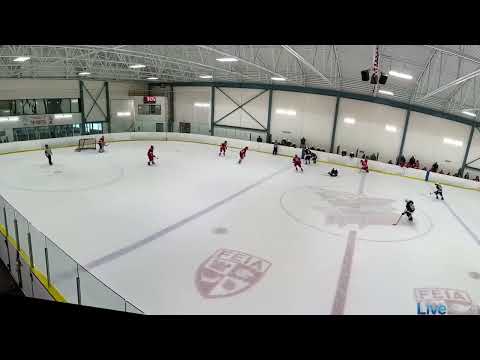 #11 NUJPE Shot and Regroup PT 2