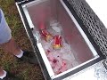 BEAGLE TRAILER DRINK COOLER