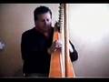 Camilo Zuñiga y Mario Garcia - Arpa - Poupurri Violeta Parra