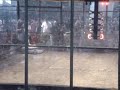 2006 Combots