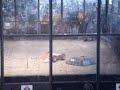 2006 Combots 2006 Combots