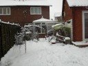 Corgi Jadzia Dax playing in the snow